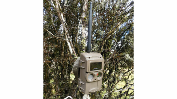 The Cuddeback CuddeLink L-Series trail camera praying a deer will come past.