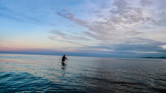 A prime shot of a magical evening spent fly fishing. The peacefulness was short-lived as moments later the stalked kingfish engulfed the presented fly only to straighten the hook.jpg